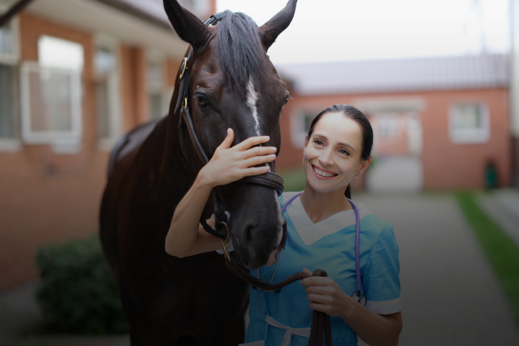 Assurance professionnel du cheval